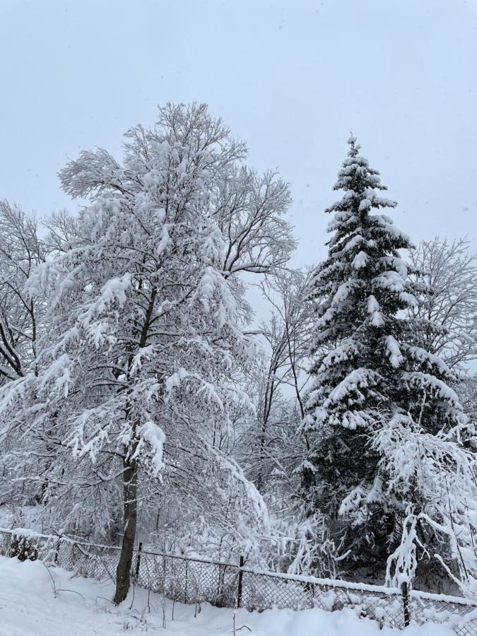 Panska Hata Jaremče Exteriér fotografie